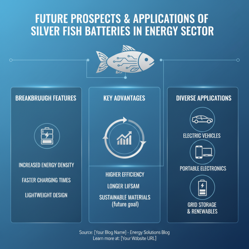 China Top Silver Fish Battery Innovations for Modern Energy Solutions?