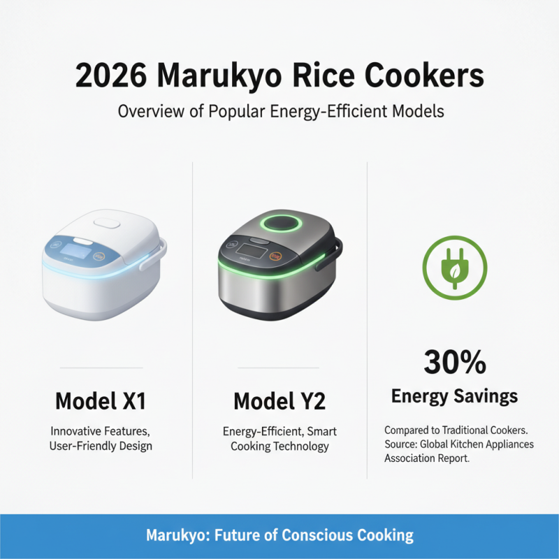 2026 Best Marukyo Rice Cooker Reviews and Buying Guide?