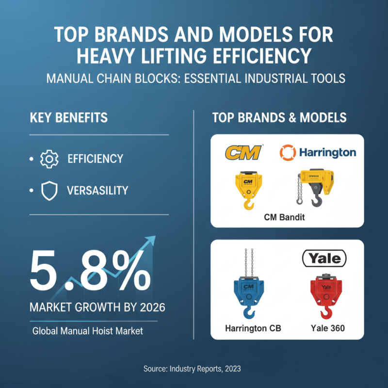 Best Manual Chain Blocks for Heavy Lifting Efficiency?