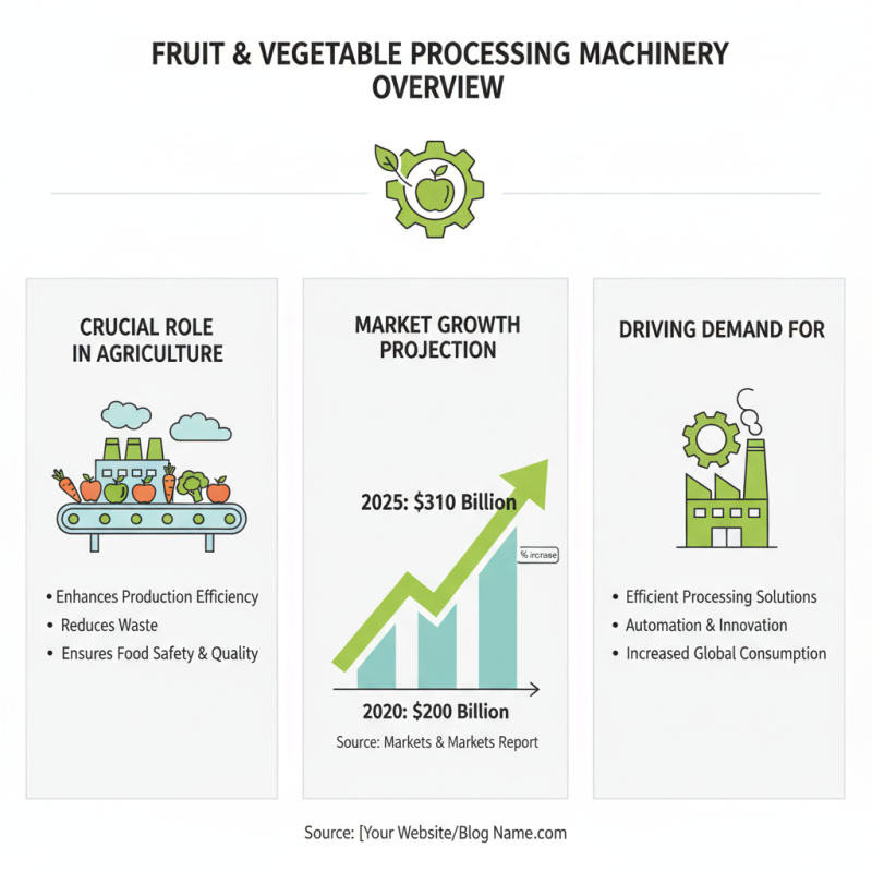 Best Fruit Vegetable Processing Machinery for Your Business Needs?