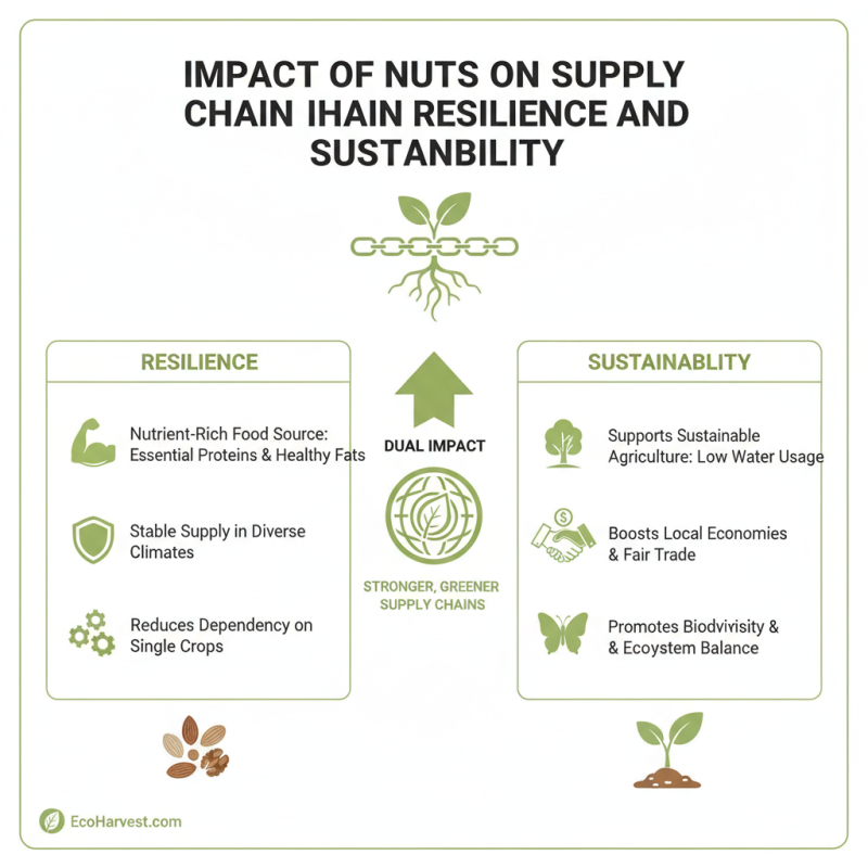 Why Are Nuts Essential for Global Procurement Success?