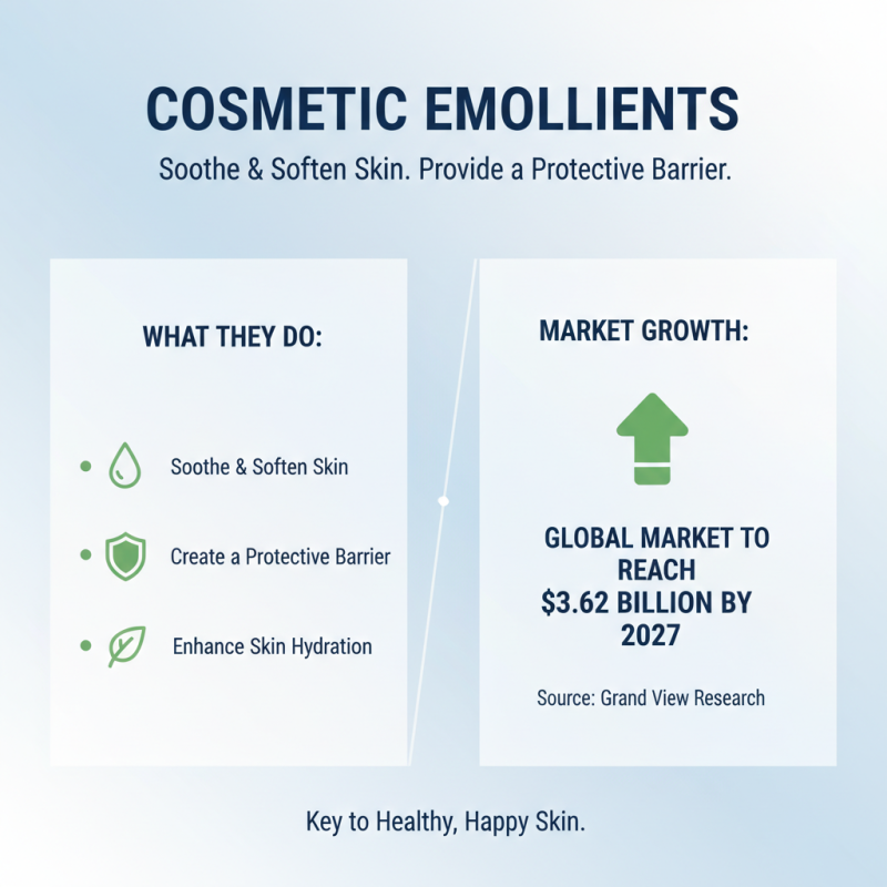 Top 10 Cosmetic Emollient Ingredients for Flawless Skin