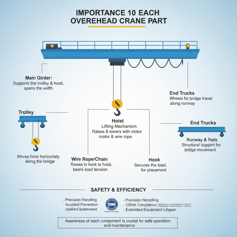 Top 10 Overhead Crane Parts You Need to Know About?