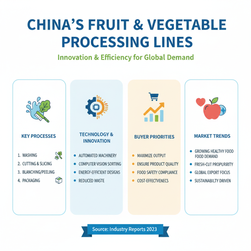 Top China Best Fruit and Vegetable Processing Line for Buyers?