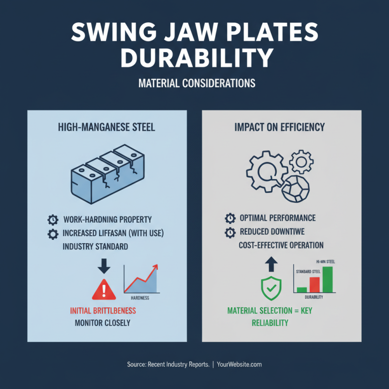 How to Choose Swing Jaw Plates for Jaw Crusher in 2026?