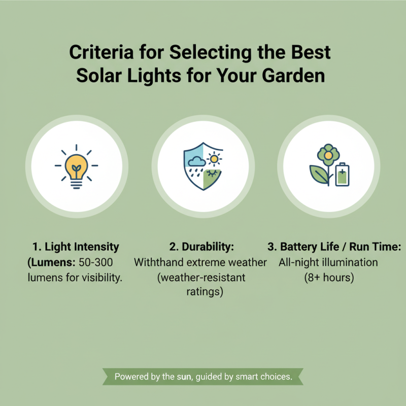 10 Best Solar Lights for Your Garden in 2026?