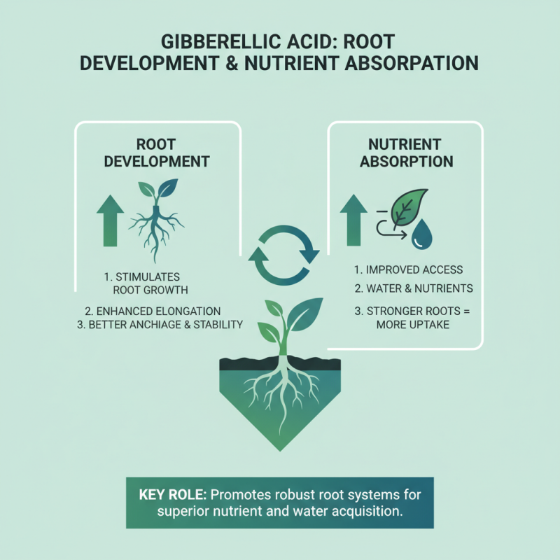 Top 10 Roles of Gibberellic Acid in Plant Growth?