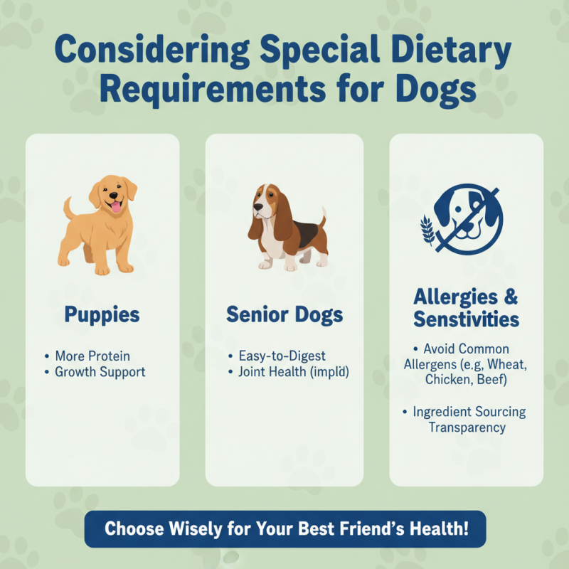 How to Choose the Best Signature Dog Food for Your Pet?