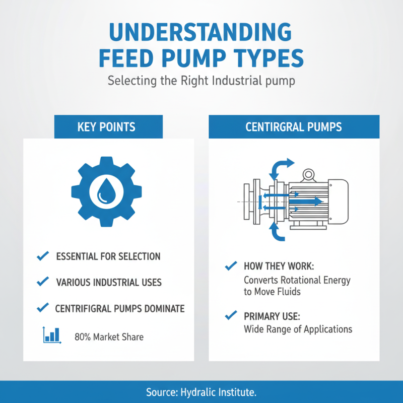 How to Choose the Right Feed Pump for Your Industrial Needs?