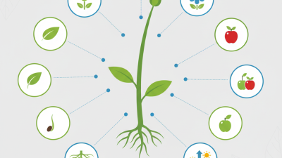 Top 10 Roles of Gibberellic Acid in Plant Growth?