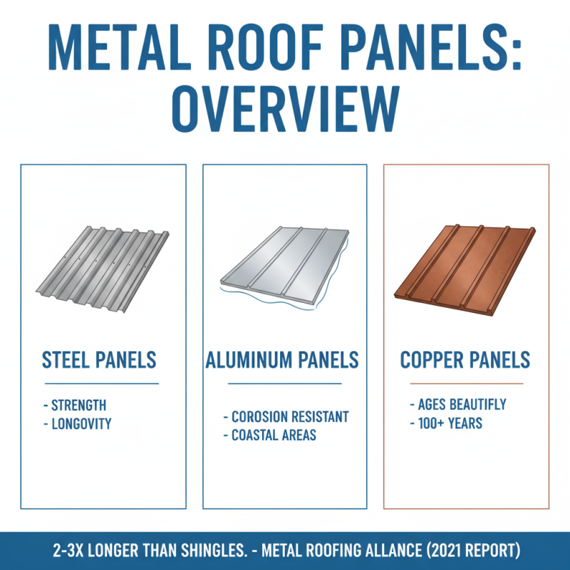 10 Best Metal Roof Panels for Ultimate Durability and Style?