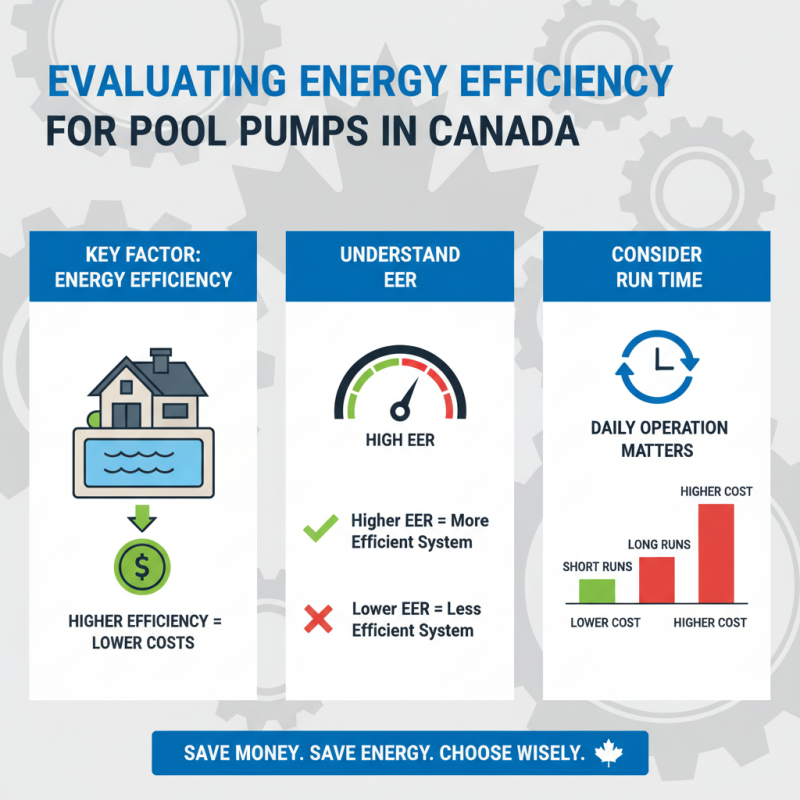 How to Choose the Best Pool Pumps in Canada?