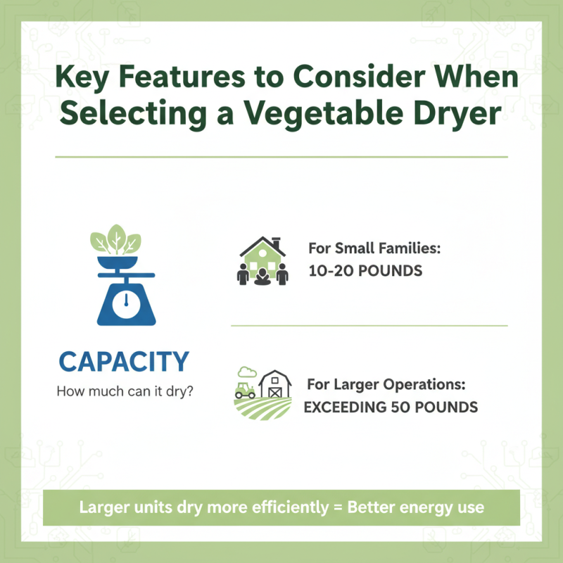 What is the Best Vegetable Dryer Machine for Your Needs?
