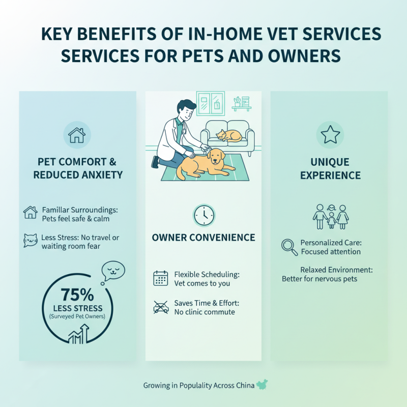 Best In Home Vet Services for Pet Owners in China?