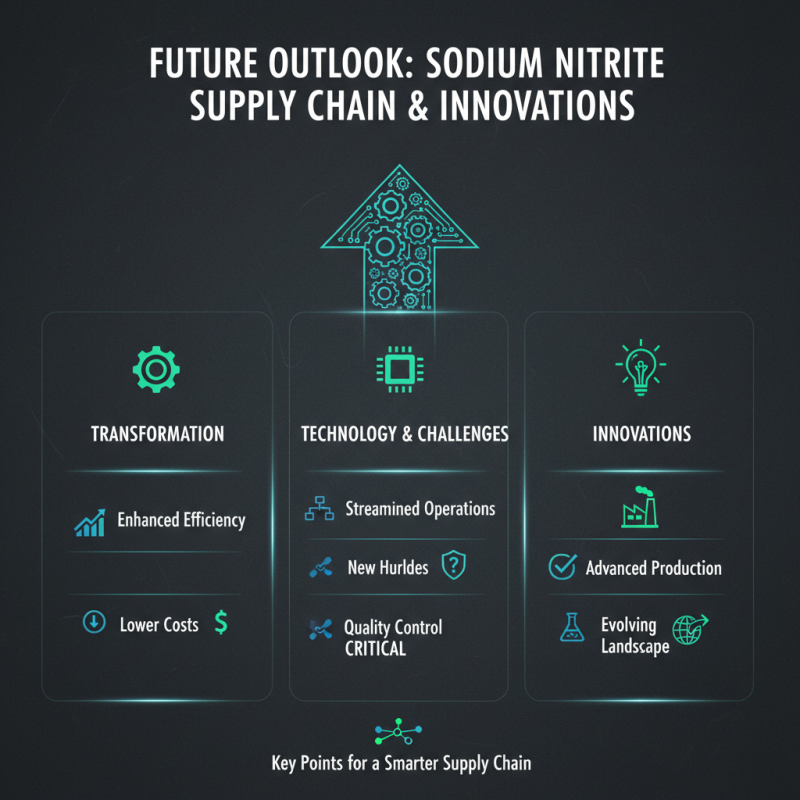 2026 Top Industrial Sodium Nitrite Suppliers You Need to Know?