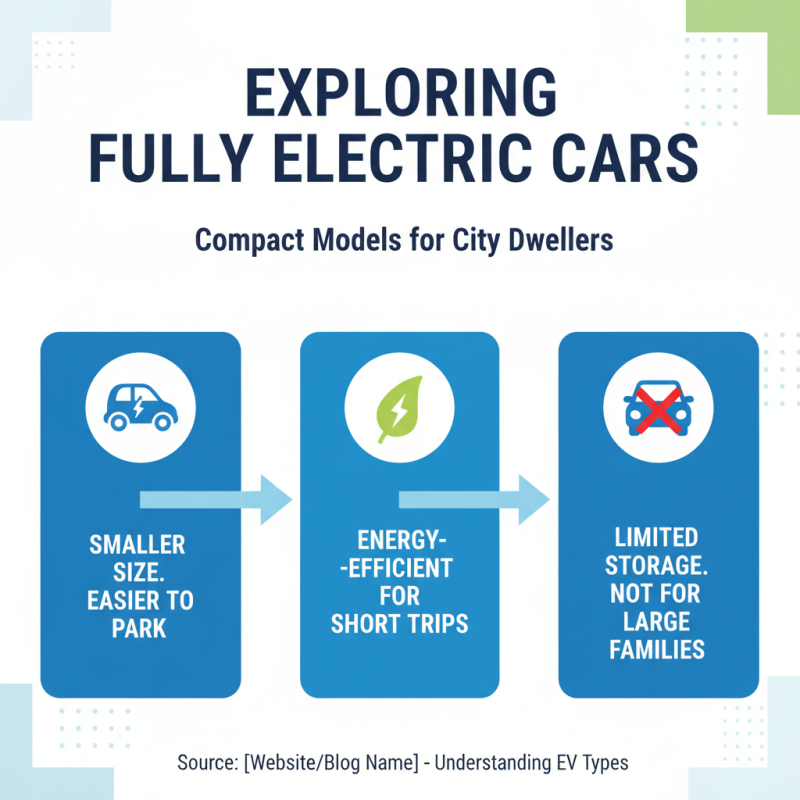 How to Choose the Best Fully Electric Cars for Your Needs?
