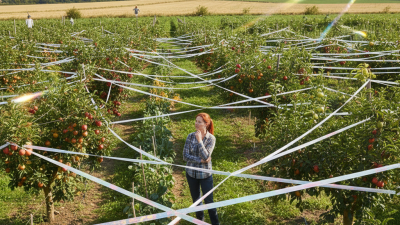 10 Essential Tips for Using Bird Repellent Flash Tape Effectively