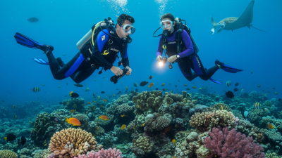 2026 Best Scuba Gear for Adventurous Divers Worldwide?