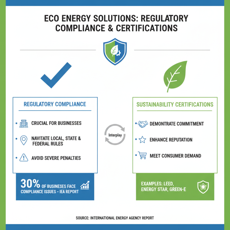 How to Choose the Best Eco Energy Solutions for Your Business?