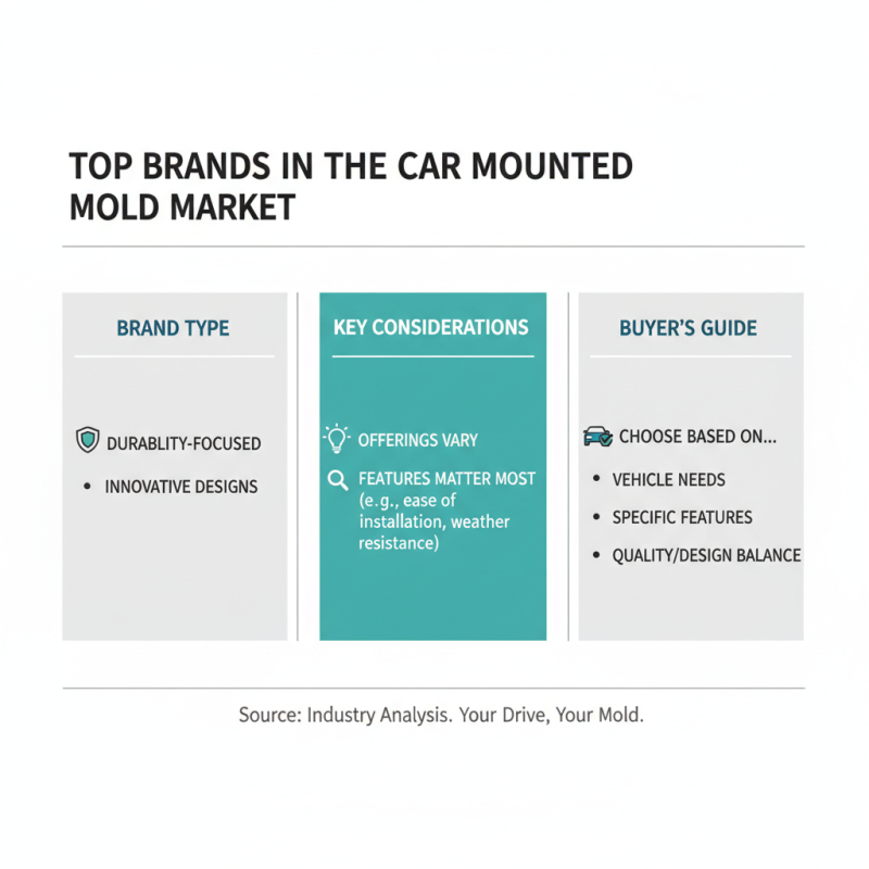 Top 10 Car Mounted Molds Buyers Need to Know?