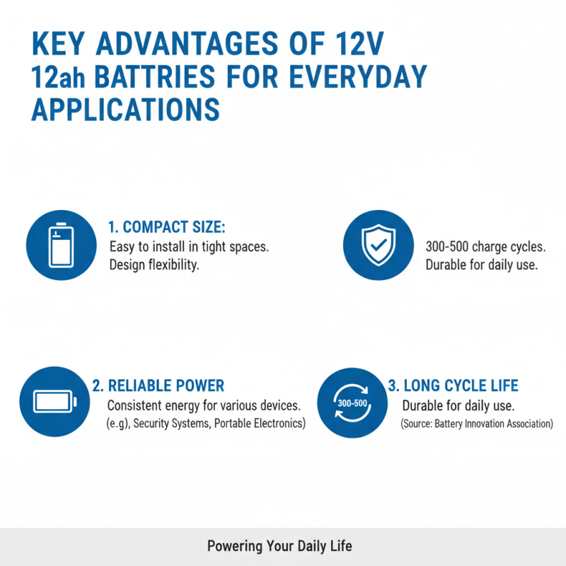 Top Benefits of Using a 12v 12ah Battery for Your Power Needs?