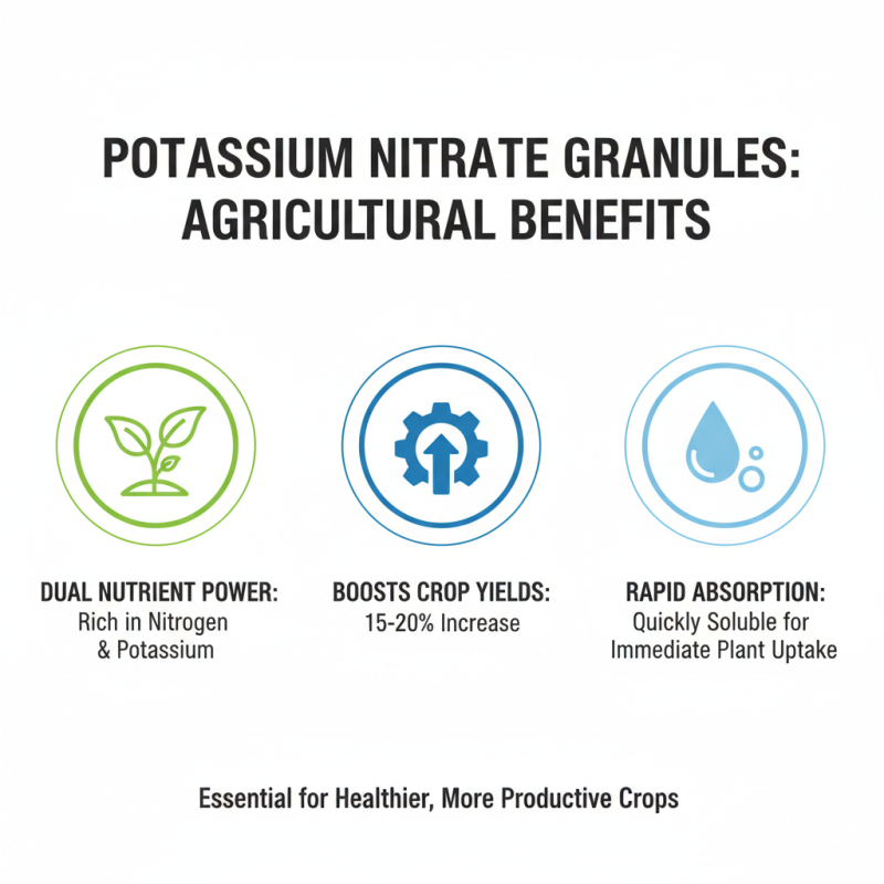 Why Choose Potassium Nitrate Granules for Your Farming Needs?
