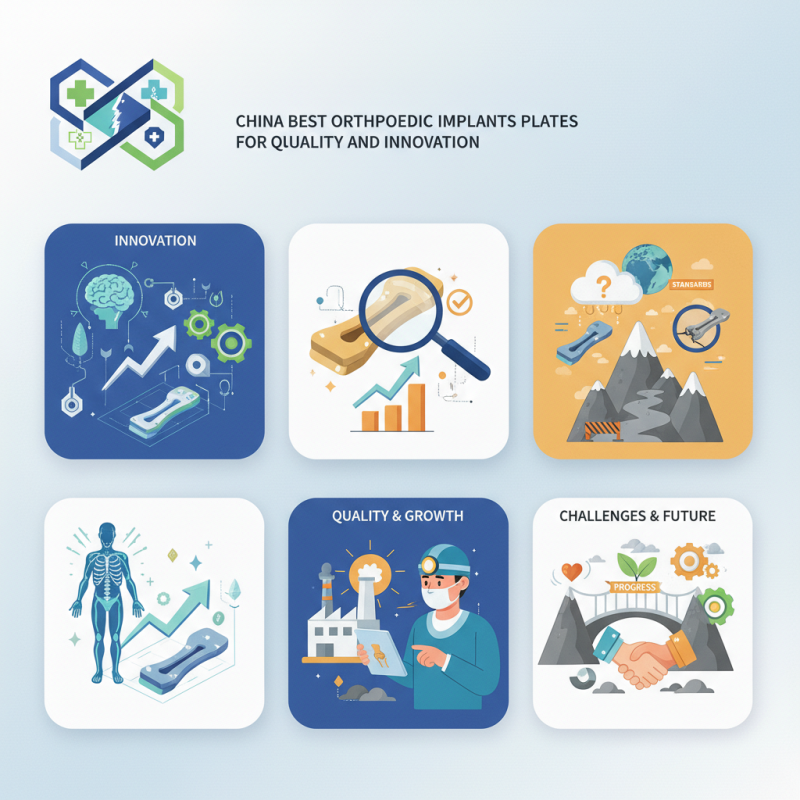 China Best Orthopedic Implants Plates for Quality and Innovation?