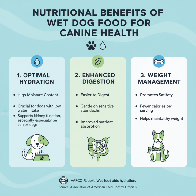 Top Healthy Wet Dog Food Options for Global Buyers?