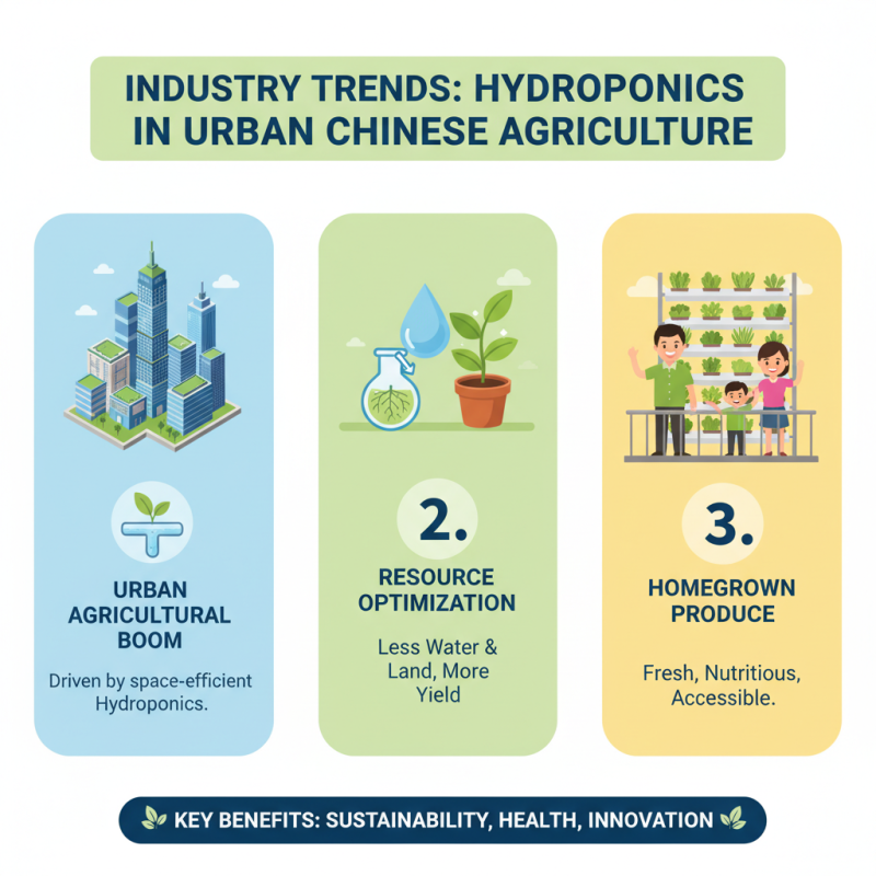 Best Hydroponic Kit for Beginners in China What to Buy?