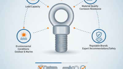 How to Choose the Best Stainless Steel Eyebolts for Your Needs?
