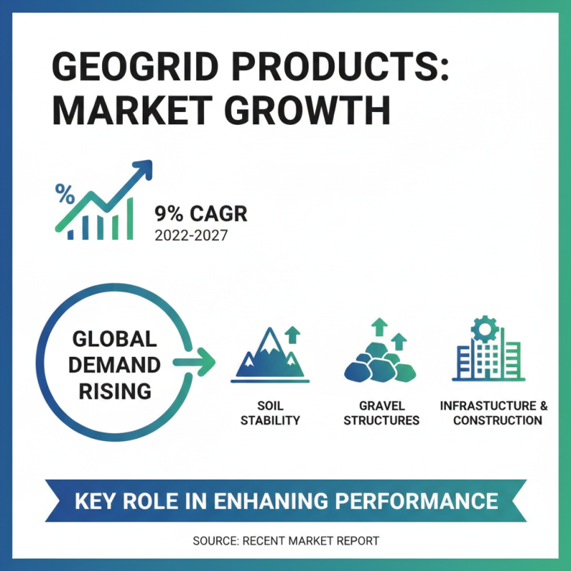 2026 Top Geogrid Gravel Solutions for Global Buyers?
