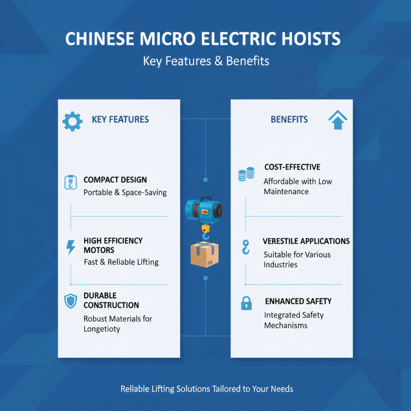 China Best Micro Electric Hoist for Efficient Lifting Solutions?