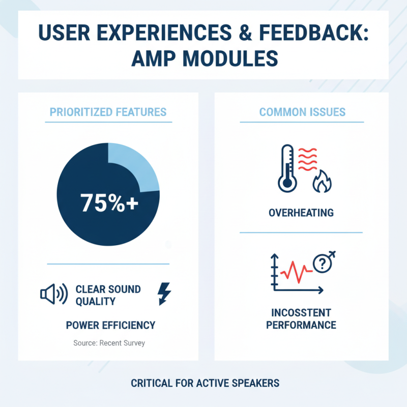 The Best Amp Module For Active Speaker in 2026?