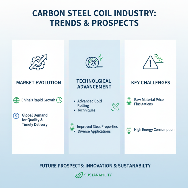 China Top Carbon Steel Coil Cold Roll Suppliers for Global Buyers?