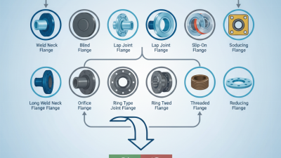 Top 10 Pipe Flanges for Pipeline Construction Needs?