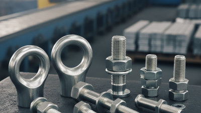 Best Stainless Steel Eyebolts for Global Buyers in China