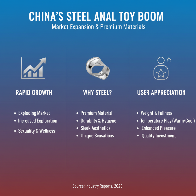 China Top Steel Anal Toys Guide for Safe and Enjoyable Experiences