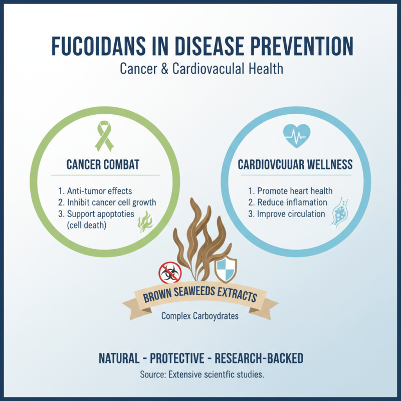 What are the Benefits of Fucoidans for Health and Wellness?