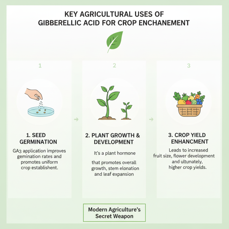 2026 Top Uses of Gibberellic Acid for Global Buyers?