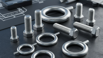 2026 Best Eyebolts Stainless Steel for Global Buyers?