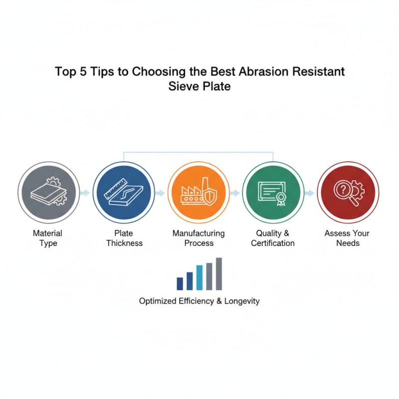 Top 5 Tips for Choosing the Best Abrasion Resistant Sieve Plate?