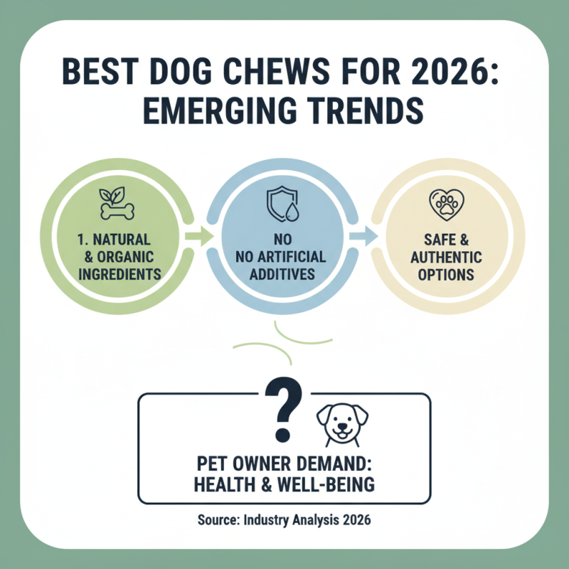 Best Dog Chews for 2026 What Should Global Buyers Consider