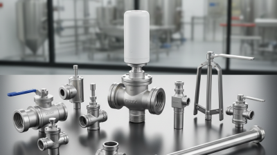 Top 10 Sanitary Valves and Fittings You Need to Know?