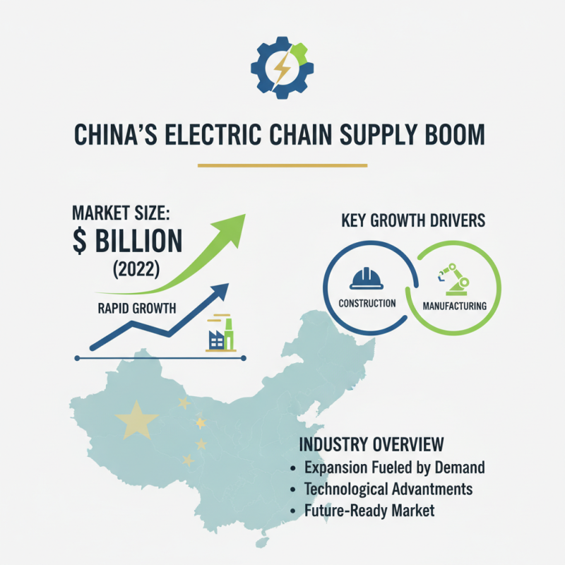 Top 10 Electric Chain Suppliers in China You Should Know?