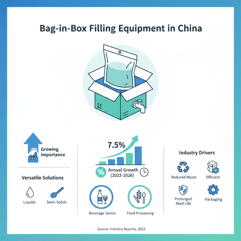 China Top Bag in Box Filling Equipment for Your Business Needs?