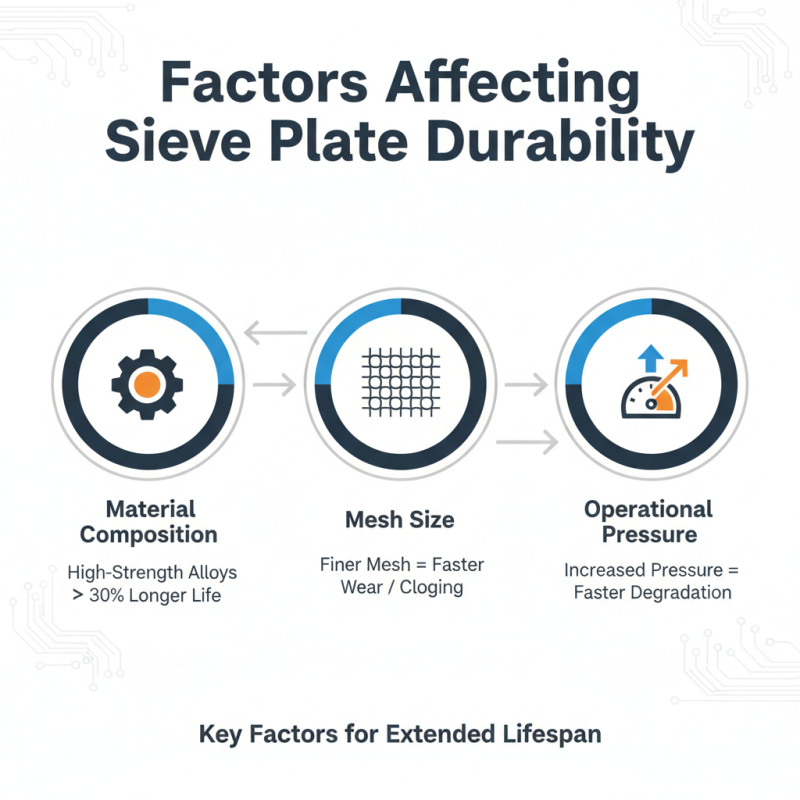Top 5 Tips for Choosing the Best Abrasion Resistant Sieve Plate?