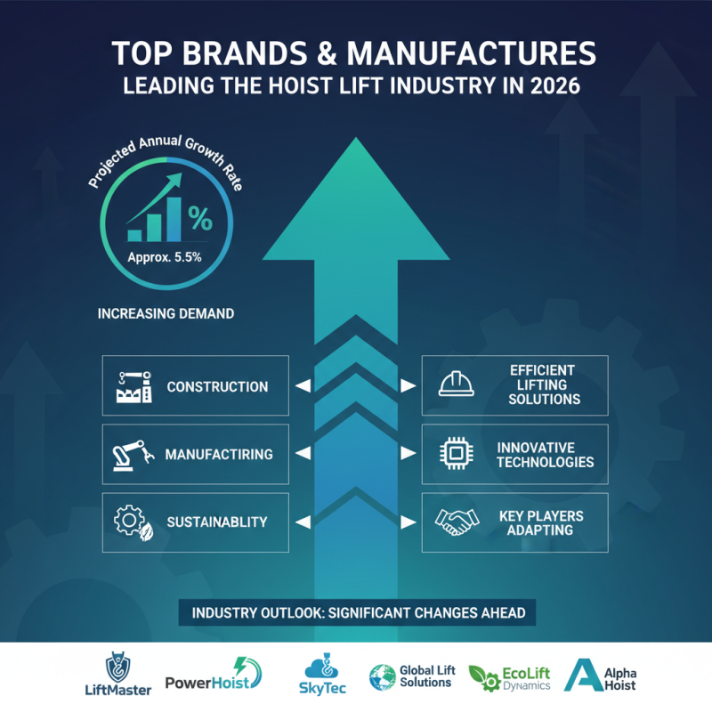 Best Hoist Lift Options for Global Buyers in 2026?