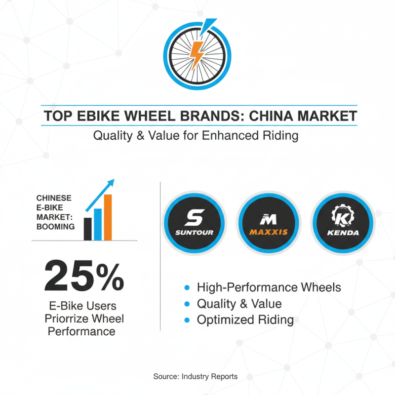 China Best Ebike Wheel Options for High Performance and Value?