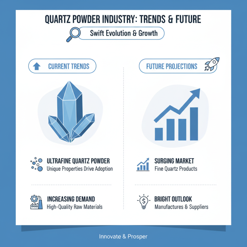 Top 10 Ultrafine Quartz Powder Mills in China 2026?