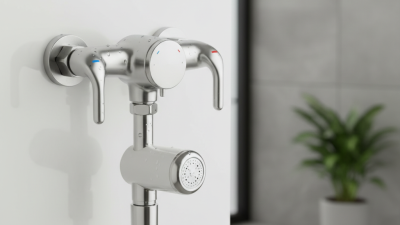 2026 Best Mixing Valve for Feminine Wash You Need Now?